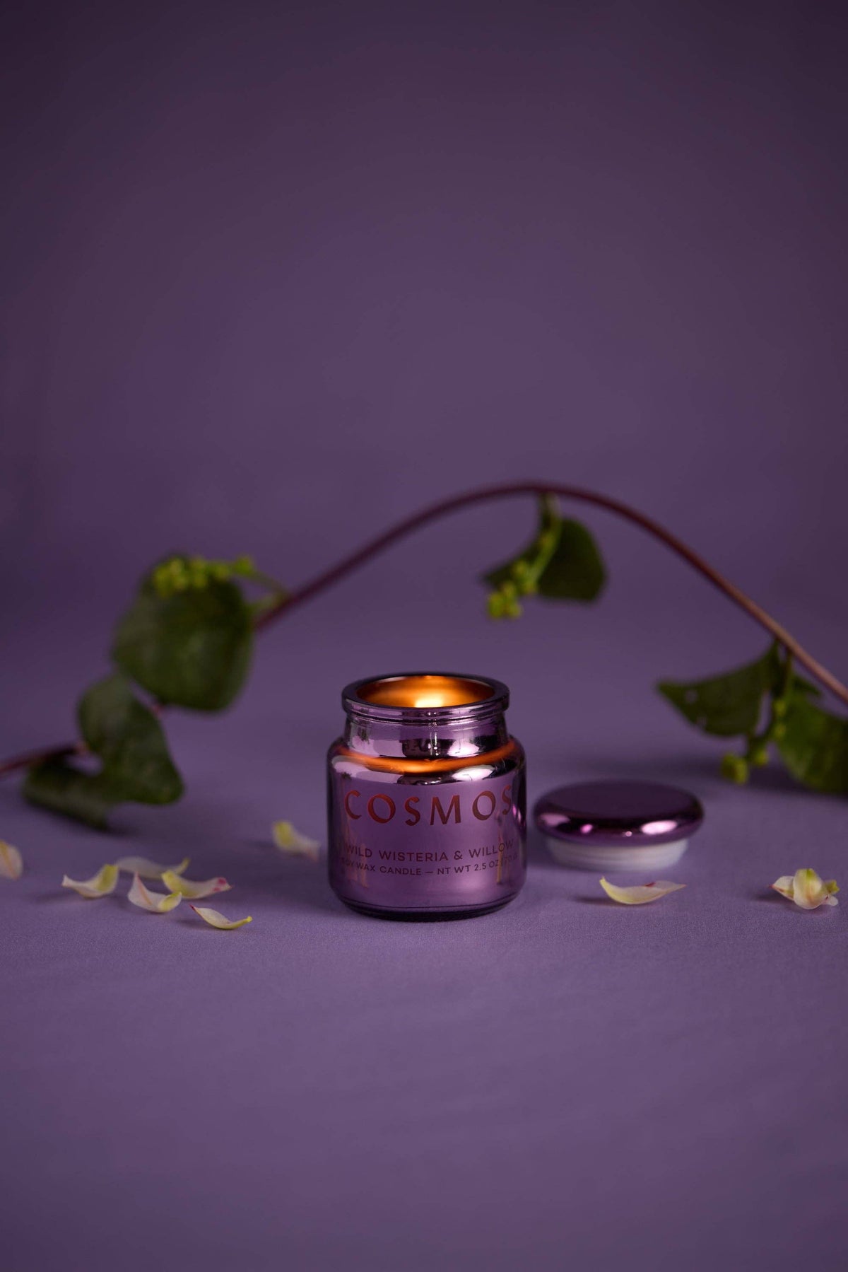 Cosmos Violet Metallic Glass Candle - Wisteria Willow